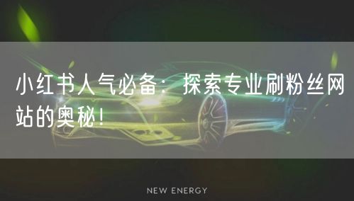 小红书人气必备：探索专业刷粉丝网站的奥秘！