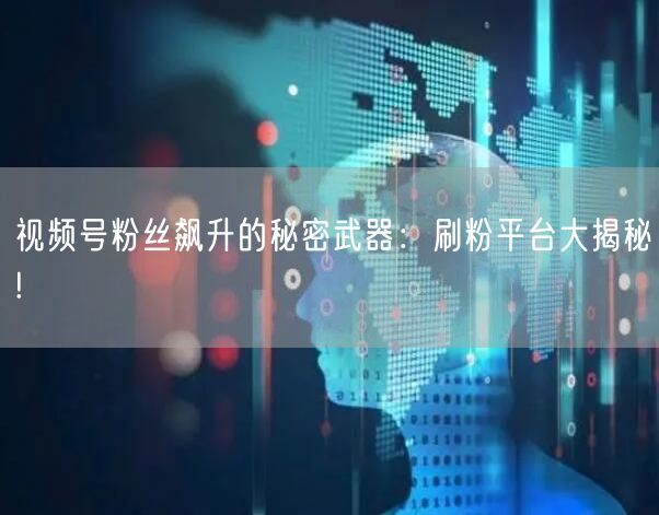 视频号粉丝飙升的秘密武器：刷粉平台大揭秘!