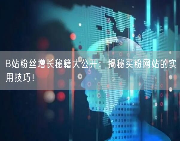 B站粉丝增长秘籍大公开：揭秘买粉网站的实用技巧！