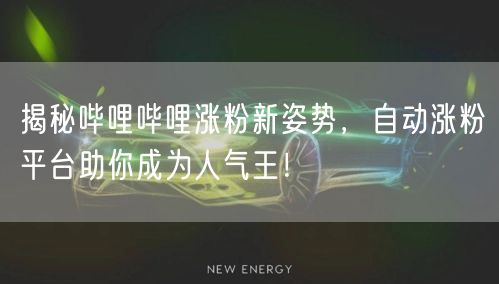 揭秘哔哩哔哩涨粉新姿势,自动涨粉平台助你成为人气王!