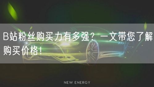 B站粉丝购买力有多强?一文带您了解购买价格!