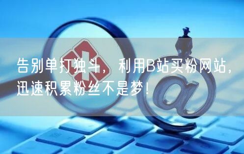 告别单打独斗，利用B站买粉网站，迅速积累粉丝不是梦！