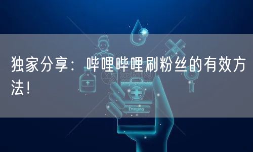 独家分享：哔哩哔哩刷粉丝的有效方法！