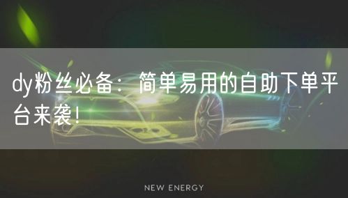 dy粉丝必备：简单易用的自助下单平台来袭！