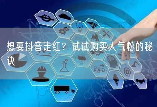想要抖音走红？试试购买人气粉的秘诀