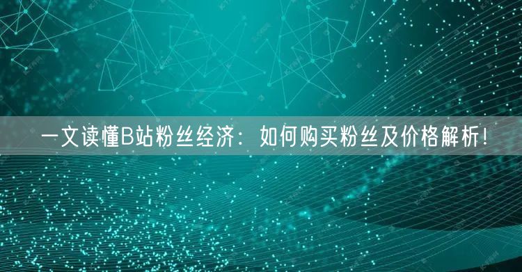 一文读懂B站粉丝经济：如何购买粉丝及价格解析！