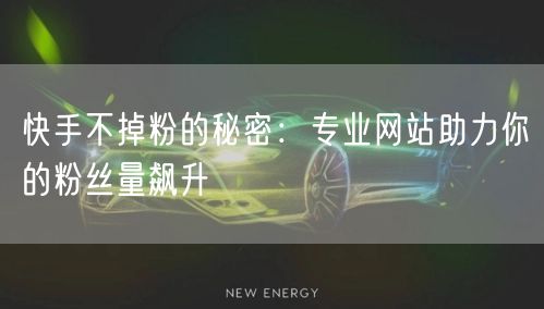 快手不掉粉的秘密：专业网站助力你的粉丝量飙升