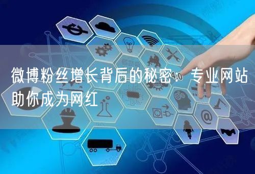 微博粉丝增长背后的秘密：专业网站助你成为网红