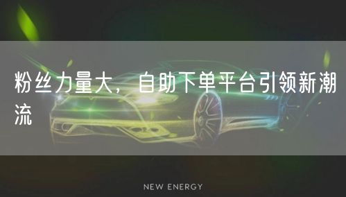 粉丝力量大，自助下单平台引领新潮流