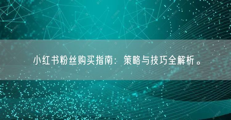 小红书粉丝购买指南：策略与技巧全解析。
