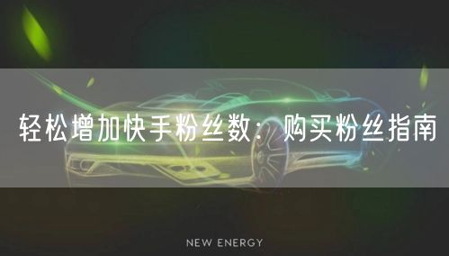 轻松增加快手粉丝数:购买粉丝指南