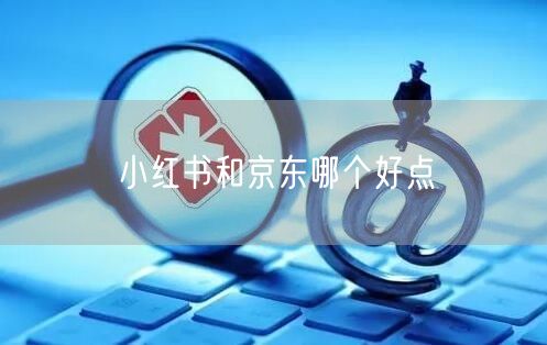 小红书和京东哪个好点