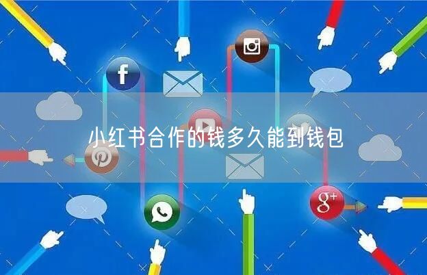 小红书合作的钱多久能到钱包