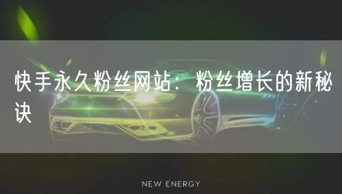 快手永久粉丝网站：粉丝增长的新秘诀