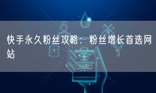 快手永久粉丝攻略：粉丝增长首选网站