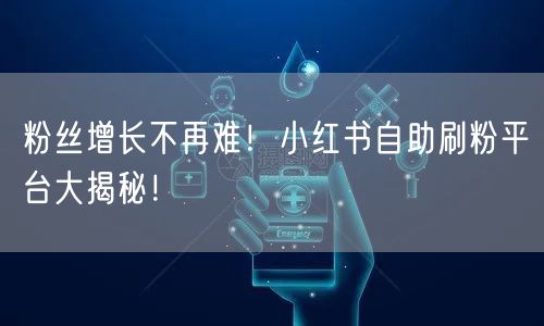 粉丝增长不再难！小红书自助刷粉平台大揭秘！