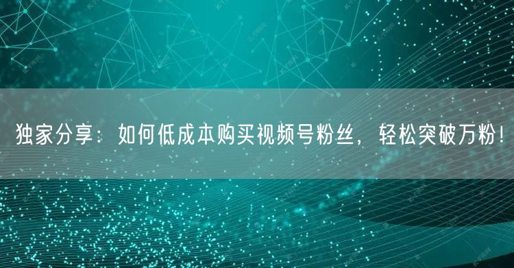 独家分享：如何低成本购买视频号粉丝，轻松突破万粉！