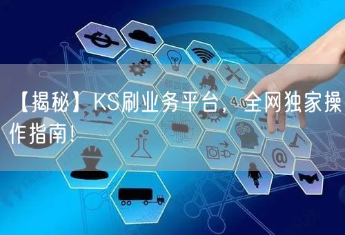 【揭秘】KS刷业务平台,全网独家操作指南