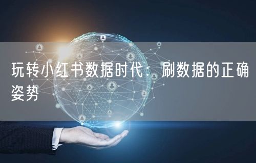 玩转小红书数据时代：刷数据的正确姿势