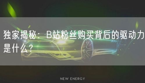 独家揭秘：B站粉丝购买背后的驱动力是什么？