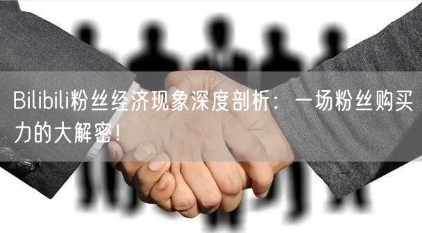 Bilibili粉丝经济现象深度剖析：一场粉丝购买力的大解密