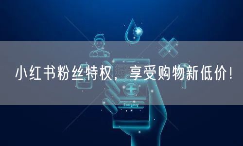小红书粉丝特权，享受购物新低价！