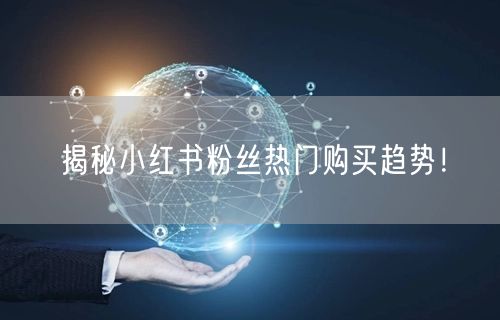 揭秘小红书粉丝热门购买趋势！