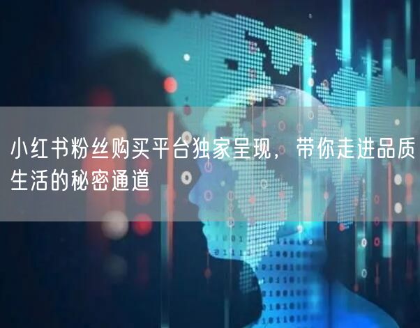 小红书粉丝购买平台独家呈现，带你走进品质