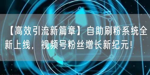 【高效引流新篇章】自助刷粉系统全新上线,视频号粉丝增长新纪元