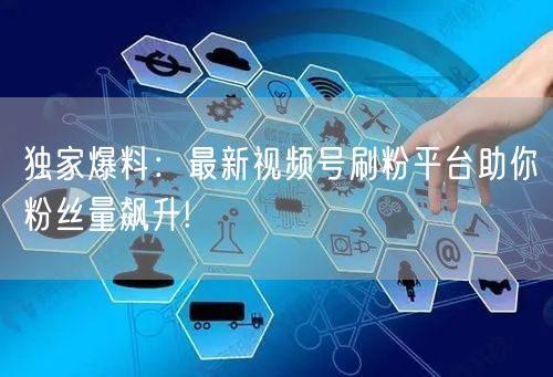 独家爆料：最新视频号刷粉平台助你粉丝量飙升!