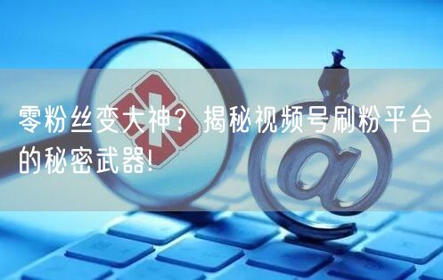 零粉丝变大神？揭秘视频号刷粉平台的秘密武器!