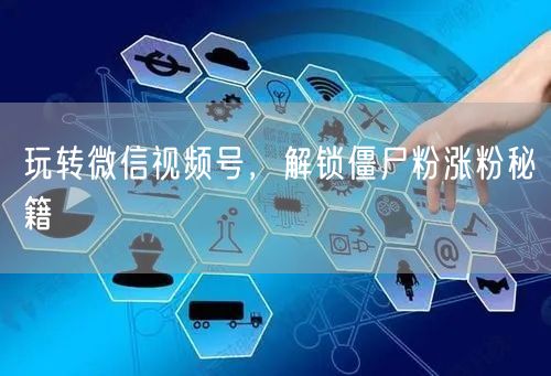 玩转微信视频号，解锁僵尸粉涨粉秘籍