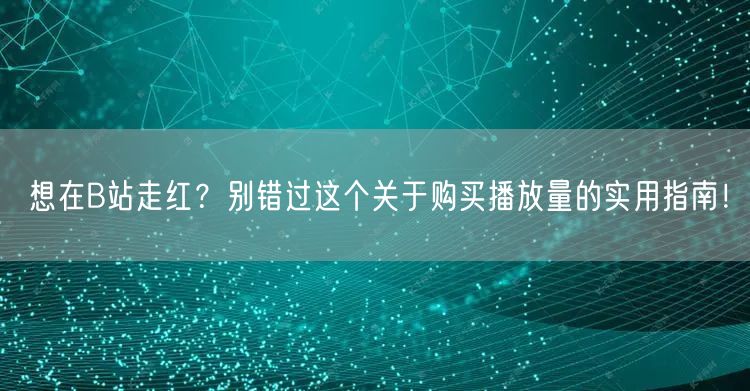 想在B站走红？别错过这个关于购买播放量的