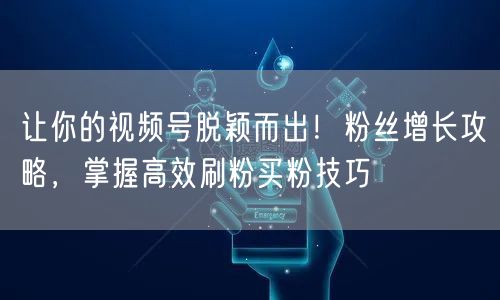 让你的视频号脱颖而出！粉丝增长攻略，掌握高效刷粉买粉技巧