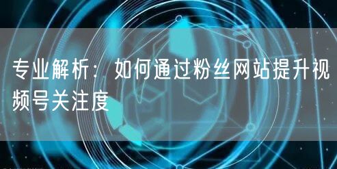 专业解析：如何通过粉丝网站提升视频号关注度