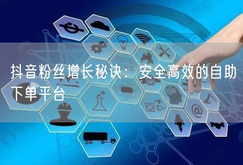 抖音粉丝增长秘诀：安全高效的自助下单平台