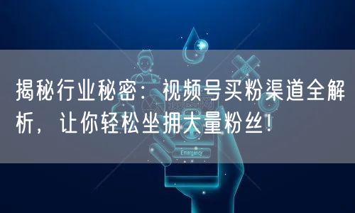 揭秘行业秘密：视频号买粉渠道全解析，让你轻松坐拥大量粉丝！