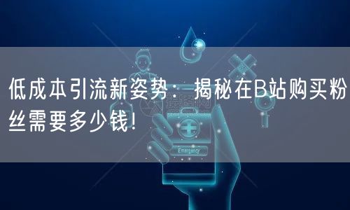 低成本引流新姿势：揭秘在B站购买粉丝需要