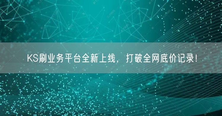 KS刷业务平台全新上线，打破全网底价记录