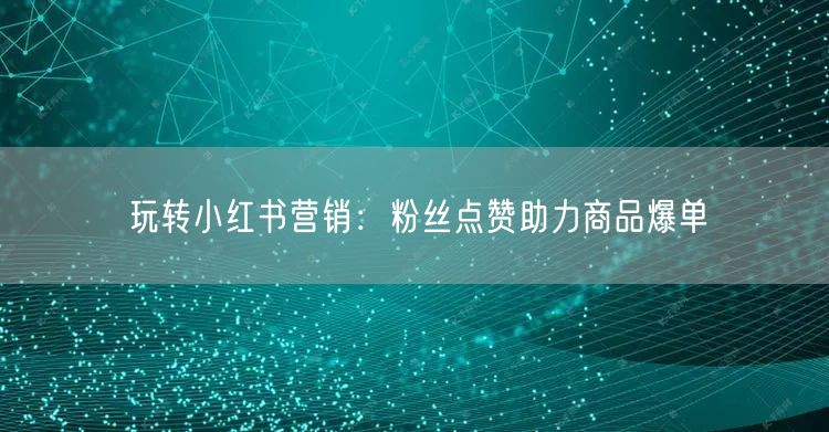 玩转小红书营销：粉丝点赞助力商品爆单