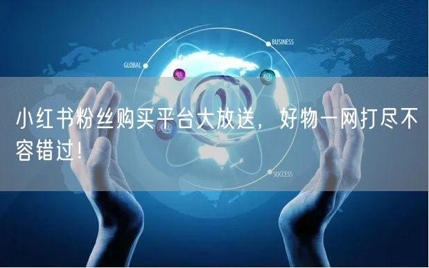 小红书粉丝购买平台大放送，好物一网打尽不容错过！