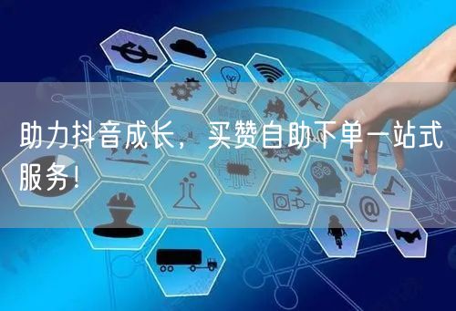 助力抖音成长，买赞自助下单一站式服务！