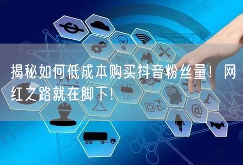 揭秘如何低成本购买抖音粉丝量！网红之路就在脚下！