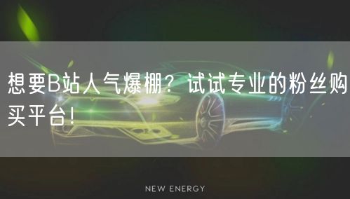 想要B站人气爆棚？试试专业的粉丝购买平台！