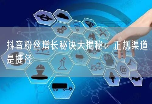 抖音粉丝增长秘诀大揭秘：正规渠道是捷径