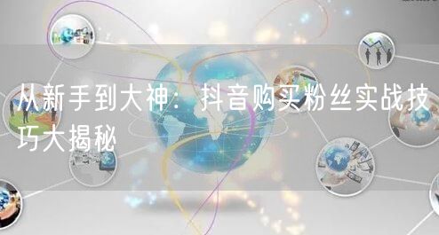 从新手到大神：抖音购买粉丝实战技巧大揭秘