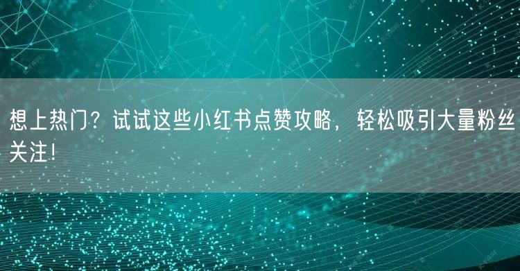 想上热门？试试这些小红书点赞攻略，轻松吸引大量粉丝关注！