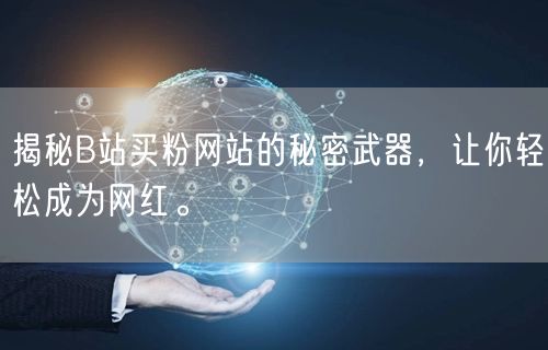 揭秘B站买粉网站的秘密武器，让你轻松成为