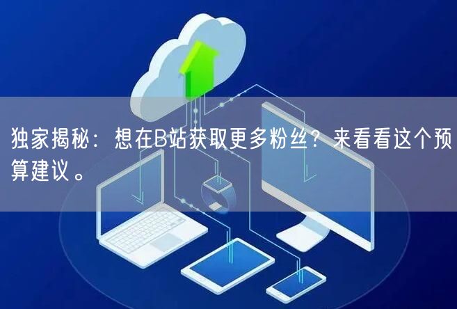 独家揭秘：想在B站获取更多粉丝？来看看这个预算建议。