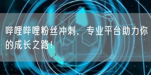 哔哩哔哩粉丝冲刺，专业平台助力你的成长之